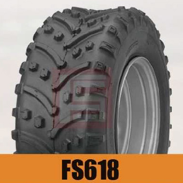 FS618
